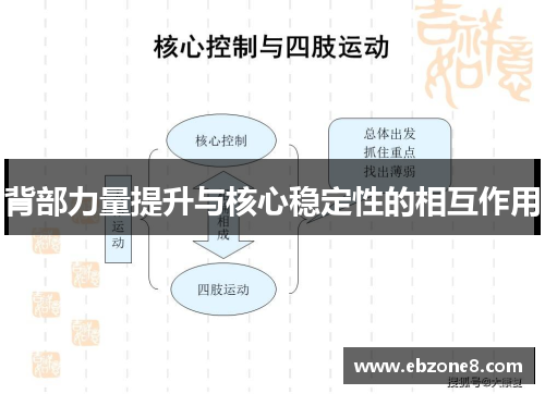 背部力量提升与核心稳定性的相互作用